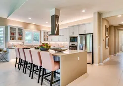 Elegant Kitchens