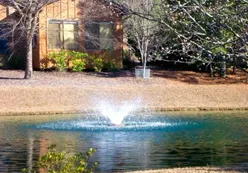 Scenic Ponds