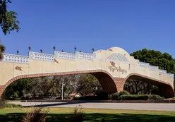 Golf Cart Bridge