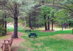 Picnic Tables