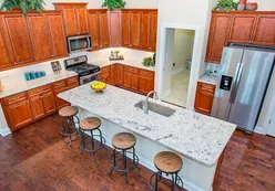Elegant Kitchens