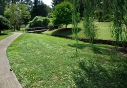 Parks & Natural Space