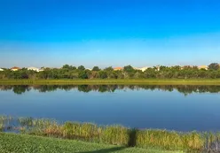 Scenic Ponds