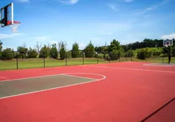 Basketball Court