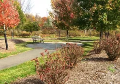The Forest's Edge Garden