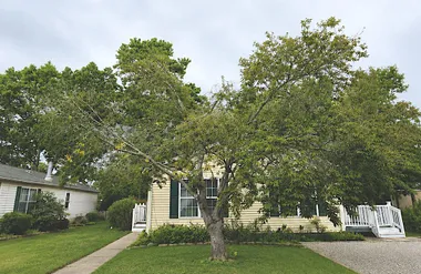 64 HICKORY LN, MAYS LANDING, NJ, 08330, Mays Landing, NJ 08330
