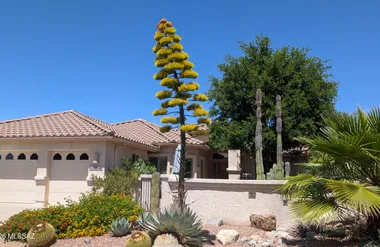62928 E HARMONY DR, TUCSON, AZ, 85739, Tucson, AZ 85739
