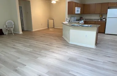 317 ESSEX LN, GEORGETOWN, TX, 78633, Georgetown, TX 78633