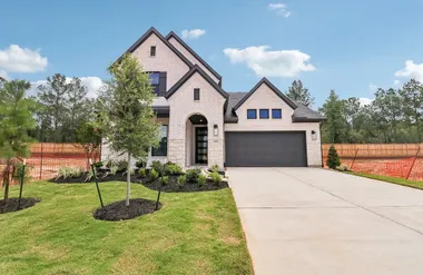 26018 PEACETREE LN, MONTGOMERY, TX, 7731..., Montgomery, TX 77316