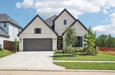 26148 TREETOP TERRACE LN, MONTGOMERY, TX..., Montgomery, TX 77316
