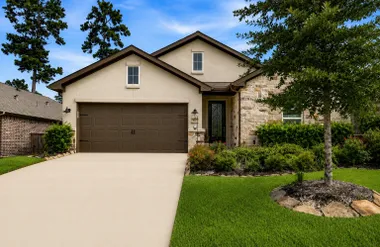 111 E SILKY SEPHORA CT, MONTGOMERY, TX, ..., Montgomery, TX 77316