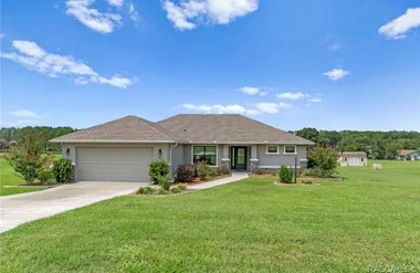 295 E CUMBERLAND CT, HERNANDO, FL, 34442, Hernando, FL 34442