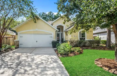 138 N CLARET CUP LN, MONTGOMERY, TX, 773..., Montgomery, TX 77316