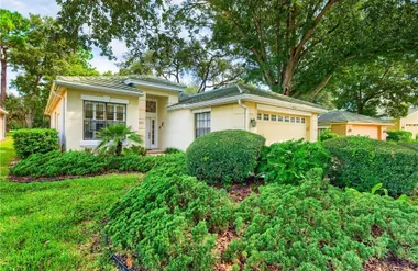 9029 PENELOPE DR, WEEKI WACHEE, FL, 3461..., Weeki Wachee, FL 34613