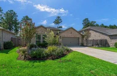 313 ROYAL LILY TRL, MONTGOMERY, TX, 7731..., Montgomery, TX 77316
