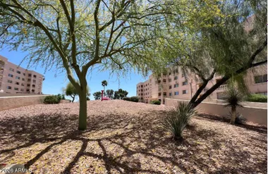 7910 E CAMELBACK RD 110, SCOTTSDALE, AZ,..., Scottsdale, AZ 85251
