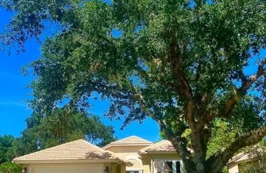 426 HARBOUR TOWN LN, ORMOND BEACH, FL, 3..., Ormond Beach, FL 32174