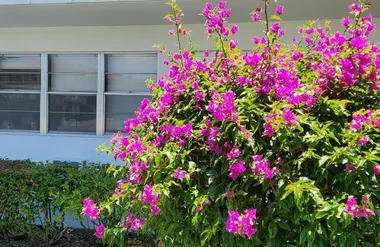 102 ANDOVER D D, WEST PALM BEACH, FL, 33..., West Palm Beach, FL 33417