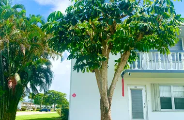 81 KINGSWOOD E, WEST PALM BEACH, FL, 334..., West Palm Beach, FL 33417