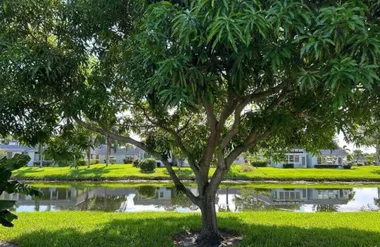 173 VALENCIA H 173, DELRAY BEACH, FL, 33..., Delray Beach, FL 33446