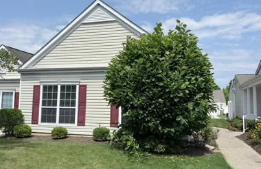 556 NE HARRIER DR, MONROE, NJ, 08831, Monroe, NJ 08831