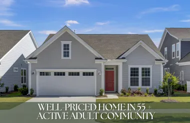 253 RIVER MARTIN CT, SUMMERVILLE, SC, 29..., Summerville, SC 29483