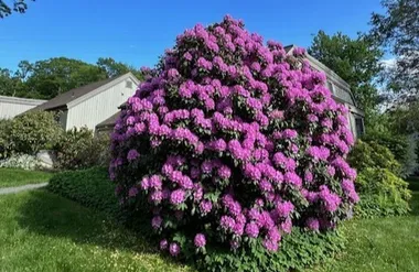 859 HERITAGE VLG B, SOUTHBURY, CT, 06488, Southbury, CT 06488