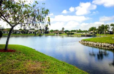 The Meadows of Crystal La...