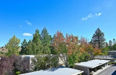1361 SINGINGWOOD CT 7, WALNUT CREEK, CA,..., Walnut Creek, CA 94595