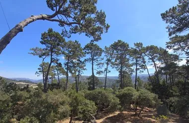 154 DEL MESA CARMEL, CARMEL, CA, 93923, Carmel, CA 93923