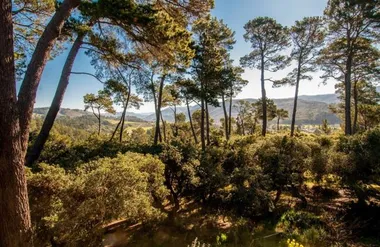 154 DEL MESA CARMEL, CARMEL, CA, 93923, Carmel, CA 93923