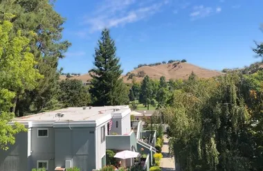 1116 FAIRLAWN CT 3, WALNUT CREEK, CA, 94..., Walnut Creek, CA 94595