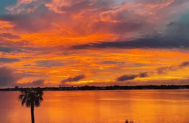 850 TIDEWATER SHORES LOOP 402, BRADENTON..., Bradenton, FL 34208