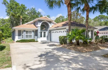 15 TANGLEWOOD CT, PALM COAST, FL, 32137, Palm Coast, FL 32137