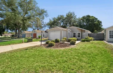 25312 GREEN HERON DR, LEESBURG, FL, 3474..., Leesburg, FL 34748