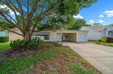 1133 DEL TORO DR, LADY LAKE, FL, 32159, Lady Lake, FL 32159