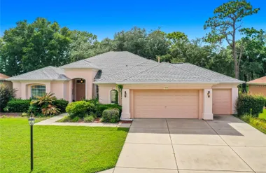 12992 SE 91ST CT, SUMMERFIELD, FL, 34491, Summerfield, FL 34491