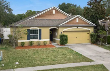 2541 MARTINS RUN, TAVARES, FL, 32778, Tavares, FL 32778