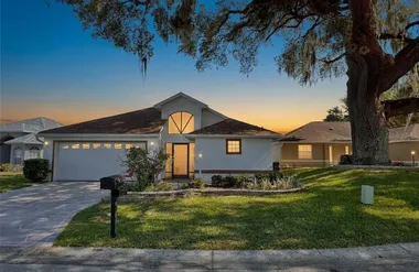 17552 SE 119TH CIR, SUMMERFIELD, FL, 344..., Summerfield, FL 34491