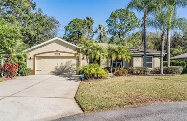 10133 COLLAR DR, SAN ANTONIO, FL, 33576, San Antonio, FL 33576