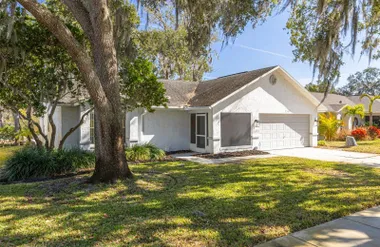 3569 OAK LAKE DR, PALM HARBOR, FL, 34684, Palm Harbor, FL 34684