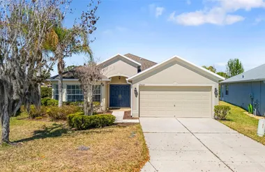 29232 COHARIE LOOP, SAN ANTONIO, FL, 335..., San Antonio, FL 33576