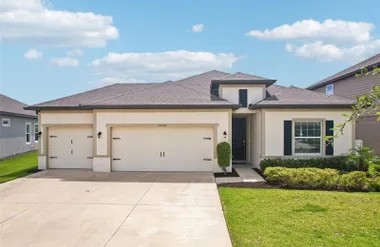 11225 JUNE BRIAR LOOP, SAN ANTONIO, FL, ..., San Antonio, FL 33576