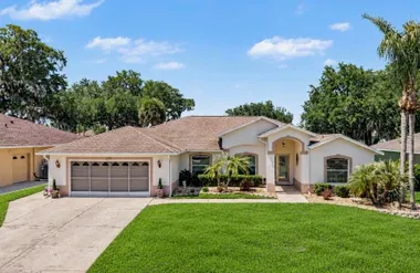 11132 MOSHIE LN, SAN ANTONIO, FL, 33576, San Antonio, FL 33576