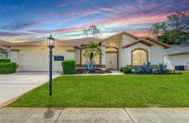 11228 WINDRUSH CIR, HUDSON, FL, 34667, Hudson, FL 34667