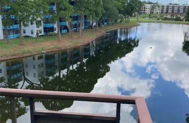 7975 58TH AVE 408, ST PETERSBURG, FL, 33..., St Petersburg, FL 33709