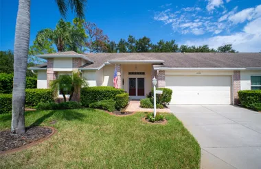 1236 FLORA VISTA ST, TRINITY, FL, 34655, Trinity, FL 34655