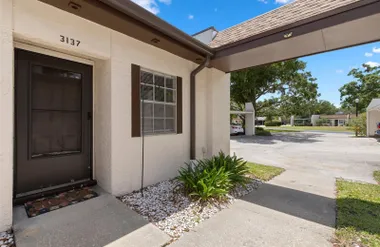 3137 MISSION GROVE DR, PALM HARBOR, FL, ..., Palm Harbor, FL 34684