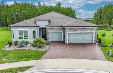 18793 HORIZON VIEW PT, LAND O LAKES, FL,..., Land O Lakes, FL 34638