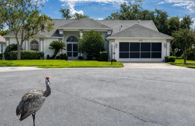 6513 CARDINAL CREST DR, NEW PORT RICHEY,..., New Port Richey, FL 34655